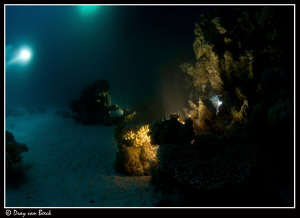 Nightdive with long exposure. 30 sec. by Dray Van Beeck 
